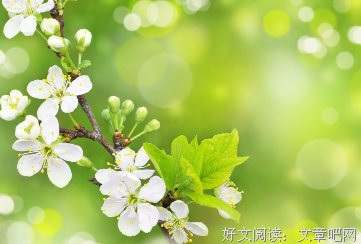 《白说》经典语录大全