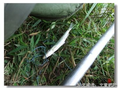 许久不回家，爸妈竟然！