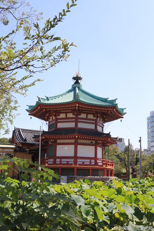 《东京公园》经典观后感集