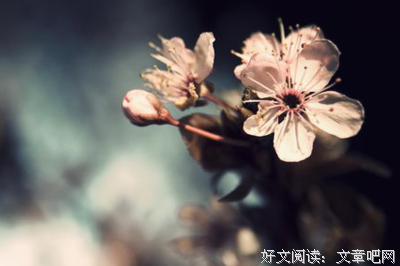 “每次和你费尽心思聊天的样子，我都嫌自己烦”