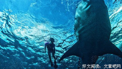 长久的婚姻，是最平凡的冒险