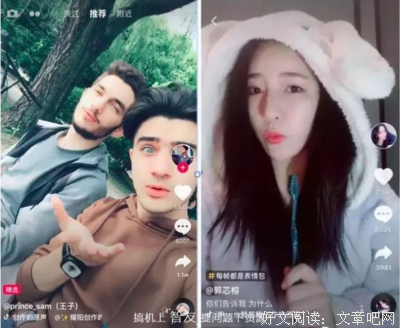抖音上拍猫的妹子，玩死了她的猫