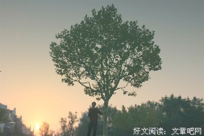 《左手倒影，右手年华》小说句子