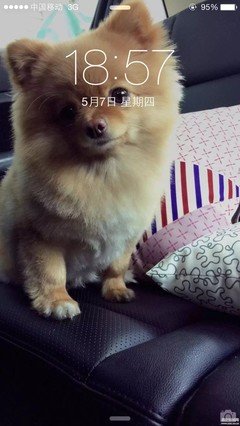 宝贝做炮友好吗？