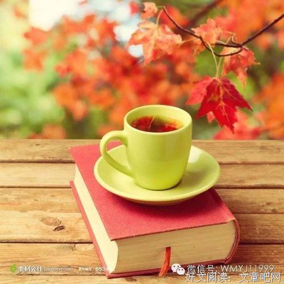 关于玛丽的语句