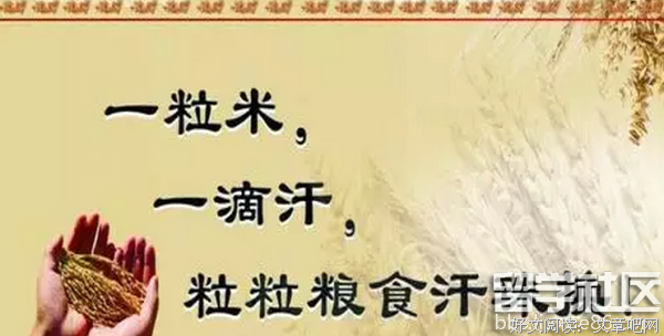 关于省吃俭用的名言