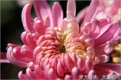 唐寅的名句_关于唐寅的名句