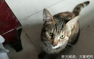 北漂、穷到啃捡来的青菜、得抑郁症欲跳楼，42岁陈坤才明白：我所