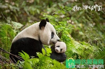 《外部世界》观后感精选10篇