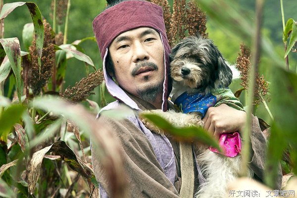 《朝鲜名侦探：高山乌头花的秘密》经典影评集