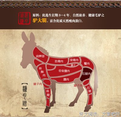 《老驴头》影评10篇