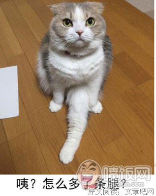 对你不感兴趣的男人，才会这样对你说这些话！