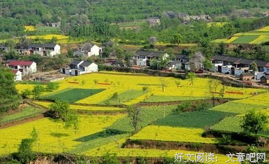 最经典的《蔓蔓青萝》名句欣赏