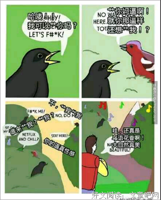 关于鸟语花香的格言