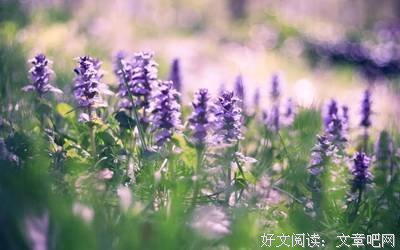 ▶ 今日夏至，一年中阳气最旺的一天！做好这13件事，安然度夏啦~