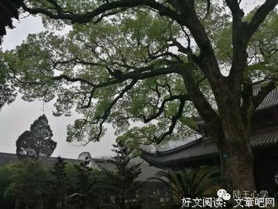 最新的《信心铭》经典名句