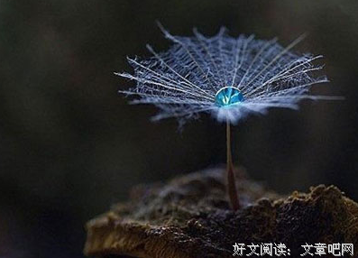 关于穷困的名言