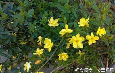 宜室宜的句子