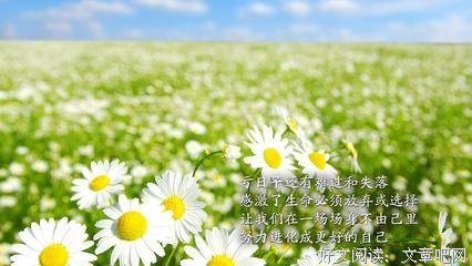 最经典的《柔软》经典句子
