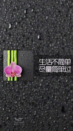 关于对了的格言