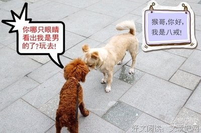树洞|我被那个老男人套牢了