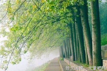 早读：岁月静处，总有情深
