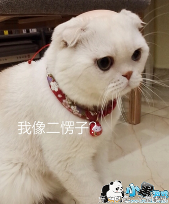 “抖音这么火，谁不玩谁out！”