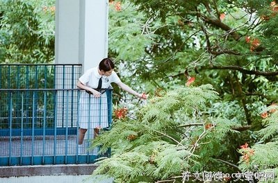 《对某飞行员的追忆》经典影评10篇