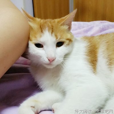 有一个黏人的对象是种什么体验？