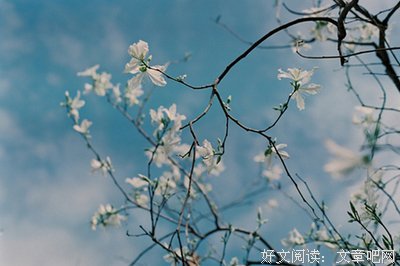 最新的《他们最幸福》经典语录
