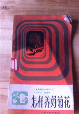 不优秀也别为难自己了