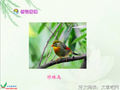 关于双燕的语句