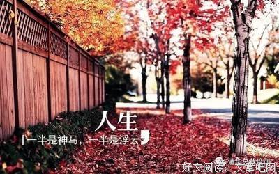 一半 一半（写的真好！）