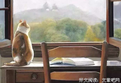 这是我见过最好的生活态度