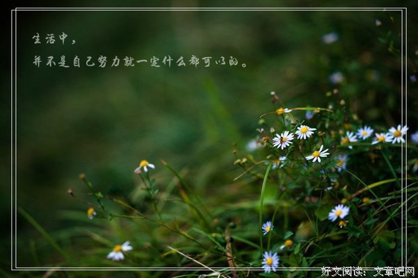 品读：慈悲喜舍，随遇而安