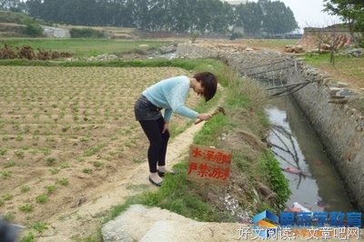 《《生活教育》》读后感精选10篇