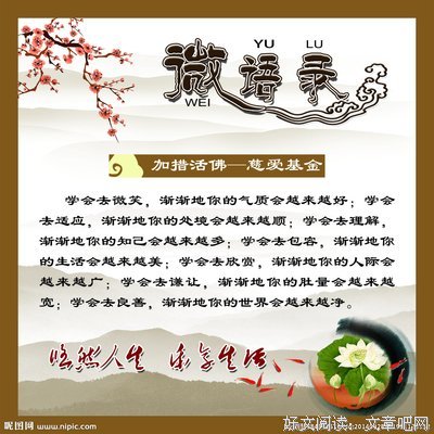 15条关于高级的经典语句