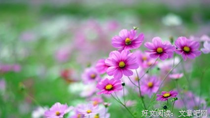 最新的《飘》经典的句子大全