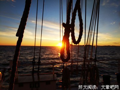 关于选专业，我聊点不严肃的。