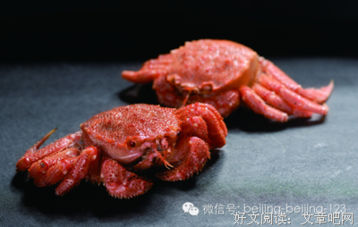 一家三口患癌，夏天千万别给孩子吃这些！很多家长都不知道