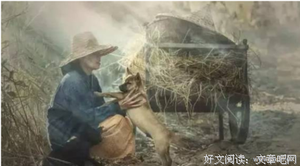 富婆送给穷男人一头牛，结果一年后富婆在男人家看到........看懂