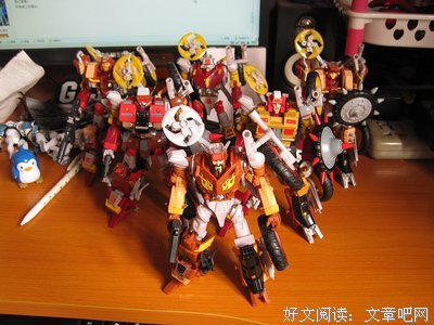 《盗狗小队》经典观后感10篇