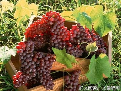 《心若向阳，何惧忧伤》经典读后感10篇