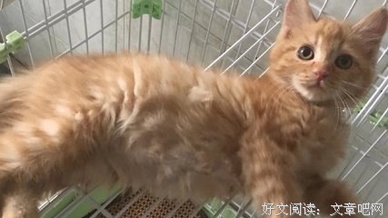 更正 |【6月23日】我爱你 亲爱的小孩