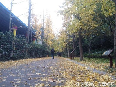 最不异地的异地恋爱攻略
