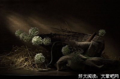 最全的银教授经典语录