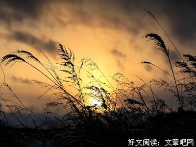 单纯的名言_关于单纯的名言