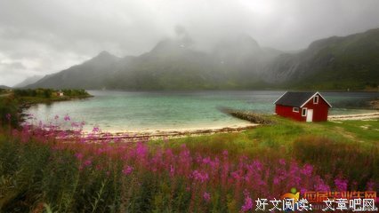 最新的《面纱》经典句子
