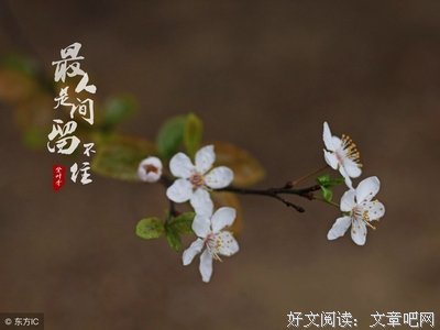 最经典的《失控》小说句子