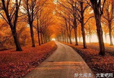 人生没有下辈子，听哭了多少人！请珍惜吧！